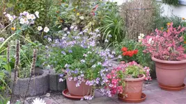 K800_schiete 151.webp