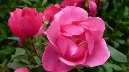 K800_schiete 152.webp