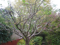IMG_1518.webp