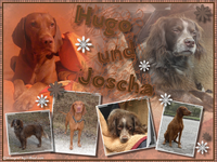 Hugo und Joscha Collage.webp
