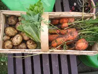 Garten 10.09 014.webp