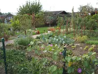 Garten 10.09 006.webp