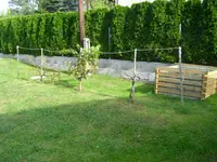 STP61300.webp