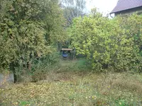 DSC05571.webp