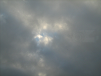 IMG_2877.webp