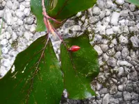 24.10.09 004.webp