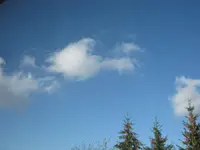 024.webp