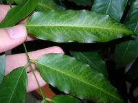 anfangs_DSCN4986.webp