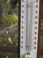 garten 09 001.webp