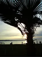 Herbst5.webp