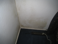 IMG_1519.webp