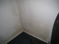 IMG_1521.webp