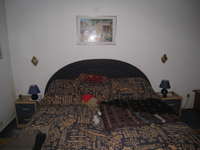 IMG_1523.webp