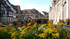 K800_Herbsturlaub in Breisach 2009 030.webp
