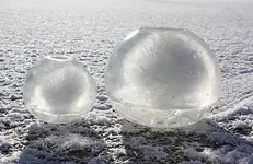 paperweights.webp