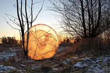 sonnenscheibe.webp