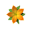 blume_376.gif