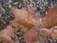 k-DSC00012.webp