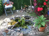 2009_0723Juli0020.webp