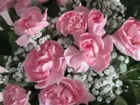 IMG_1086.webp