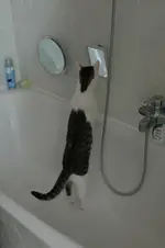 BigFoot in der Wanne.webp