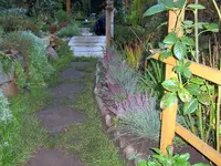 SA500140.webp