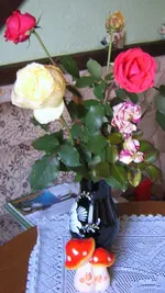 SA500091.webp