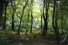 Bild 413  1.webp