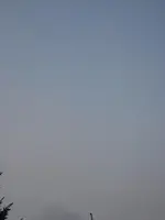 garten 09 001.webp