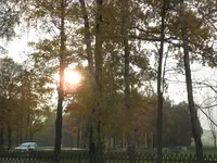 IMG_1107.webp