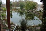TEICH23.10.2009.JPG