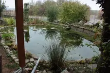 TEICH23.10.2009.webp