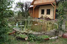 TEICH 23.10.2009 (2).webp