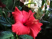 DSCF9499.webp