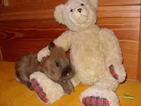 010.webp