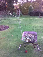 Bild026.webp