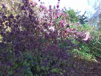 Bild027.webp