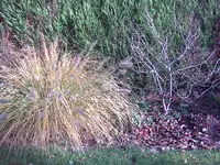Bild030.webp