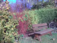 Bild046.webp