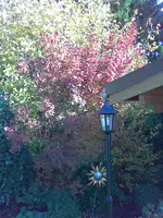 Bild047.webp