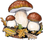 herbst152.gif