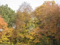 garten 09 003.webp