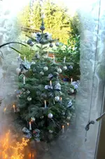 CIMG4355.webp
