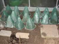 garten 09 022.webp