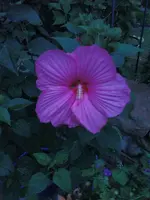 DSC00312.webp