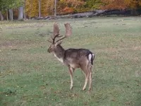 P1090649_600_450.webp