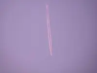 P1000631.webp