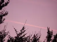 P1000634.webp