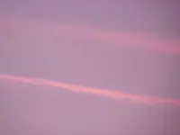 P1000632.webp