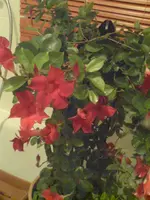Unterwegs 050.webp